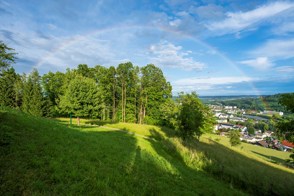 Beschreibung des Bildes