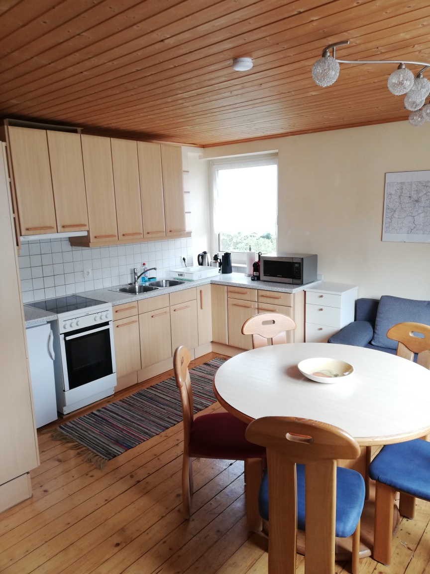 Monteur-Zimmer: Monteurwohnung-Linz