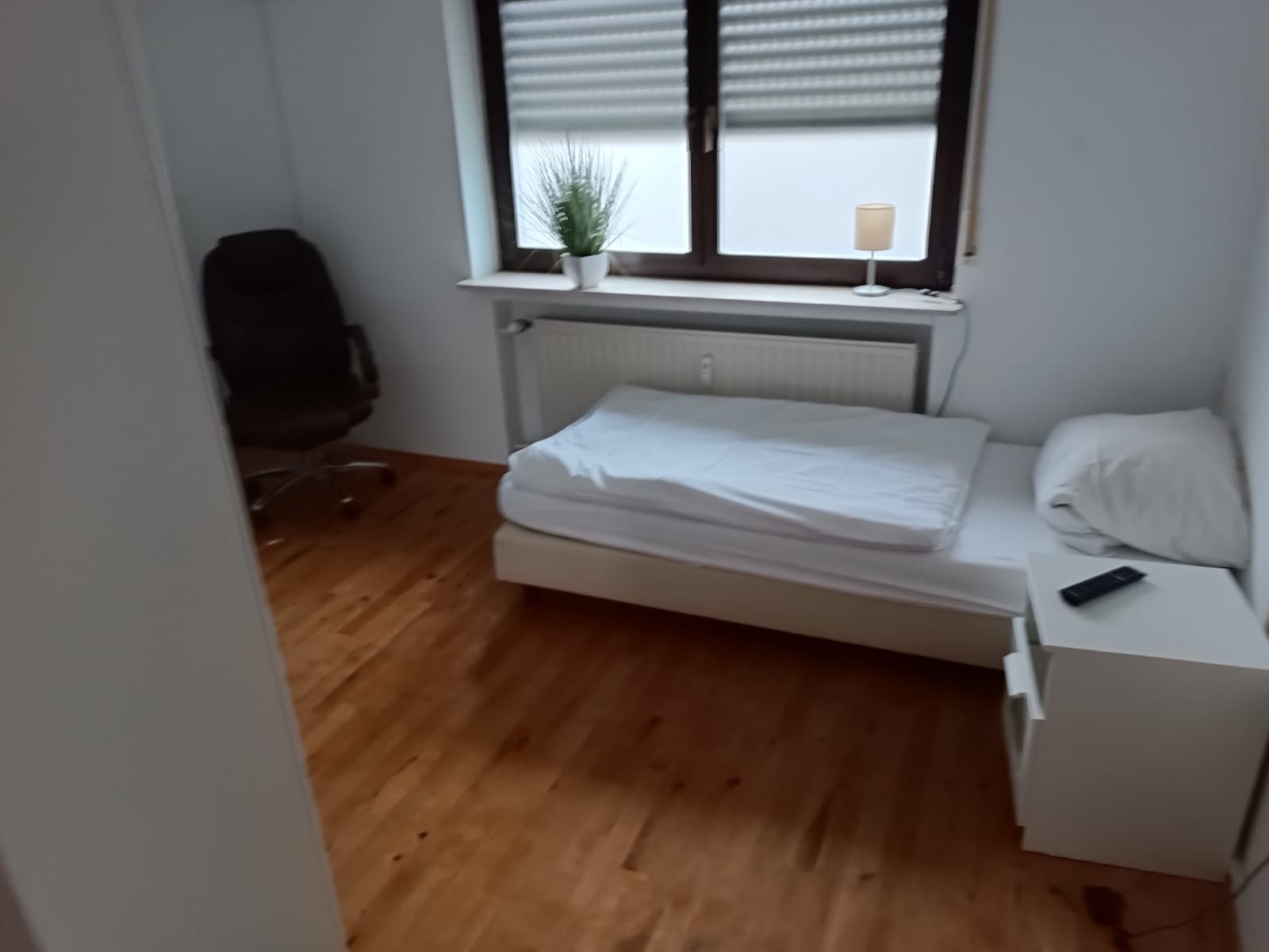 MonteurZimmer - Wolff's MEMO