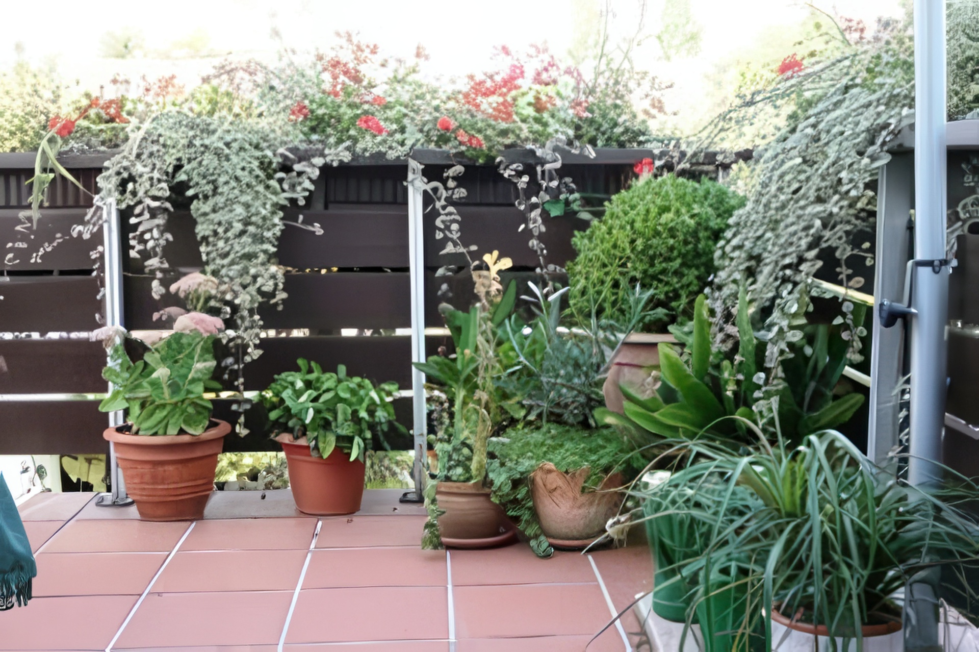 MonteurZimmer - Gepflegte Ferienwohnung in Düsseldorf in 40229 Düsseldorf