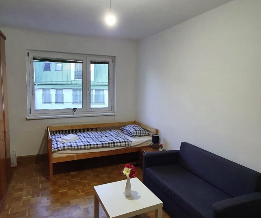 Monteur-Zimmer - Mödling - Komfort Apartment Wien 1230