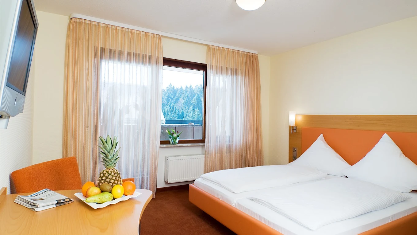 Monteur-Zimmer - Preis pro Nacht - Holzwickede - Gasthof Birkenhof