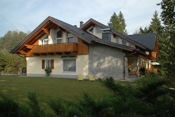 Monteur-Zimmer - Fernseher - Ried im Innkreis - Villa-Wallersee