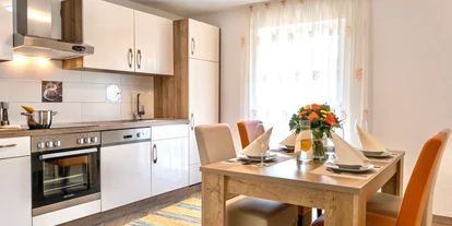 Monteur-Zimmer - Werfen - Apartments Davydov