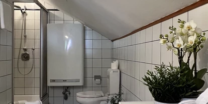 Monteur-Zimmer - Werfen - Bauernhaus Stöcklhub