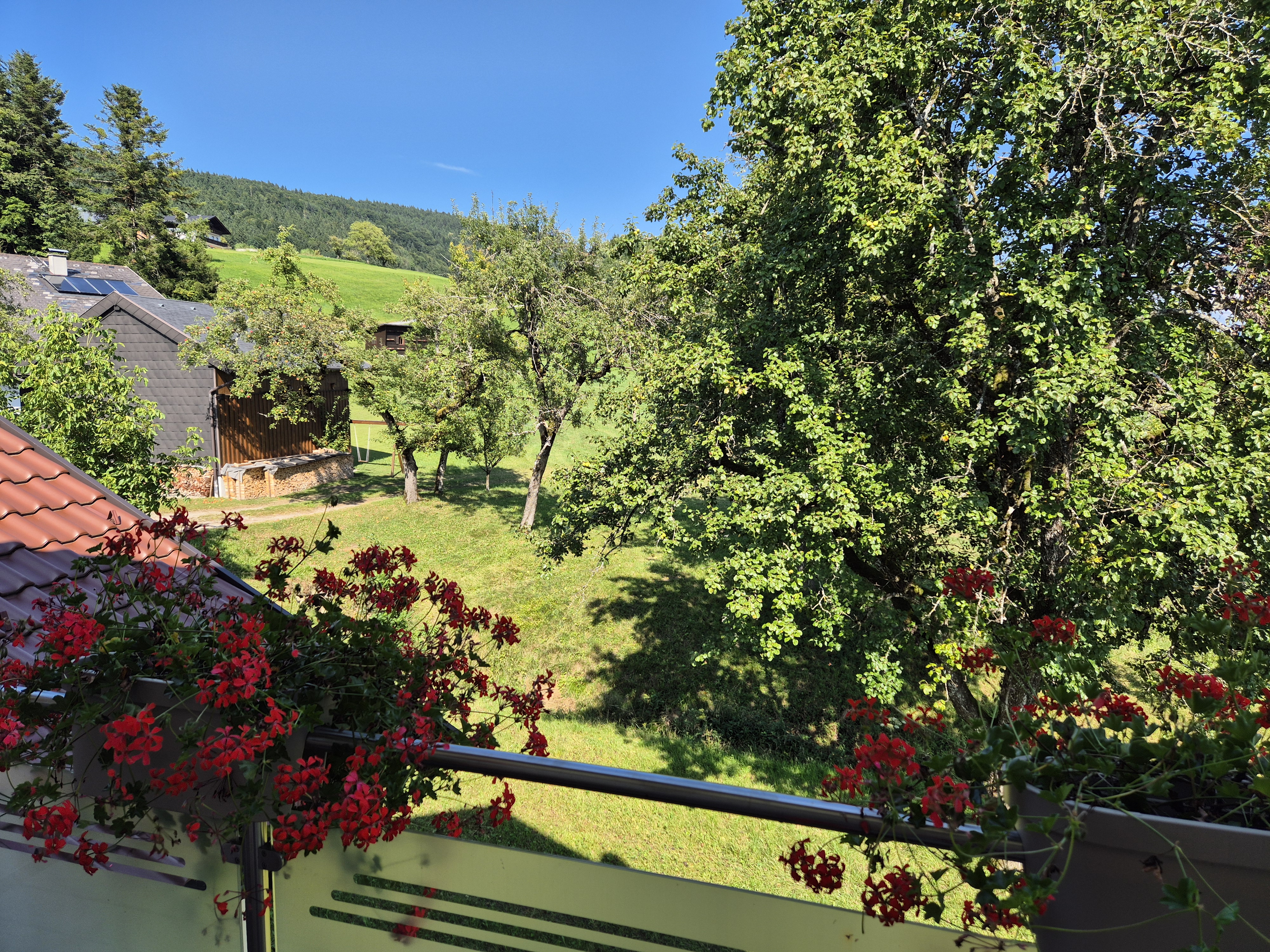 MonteurZimmer: Landzimmer1(20m²)---Balkon---1.Stock - Landhaus Dersch