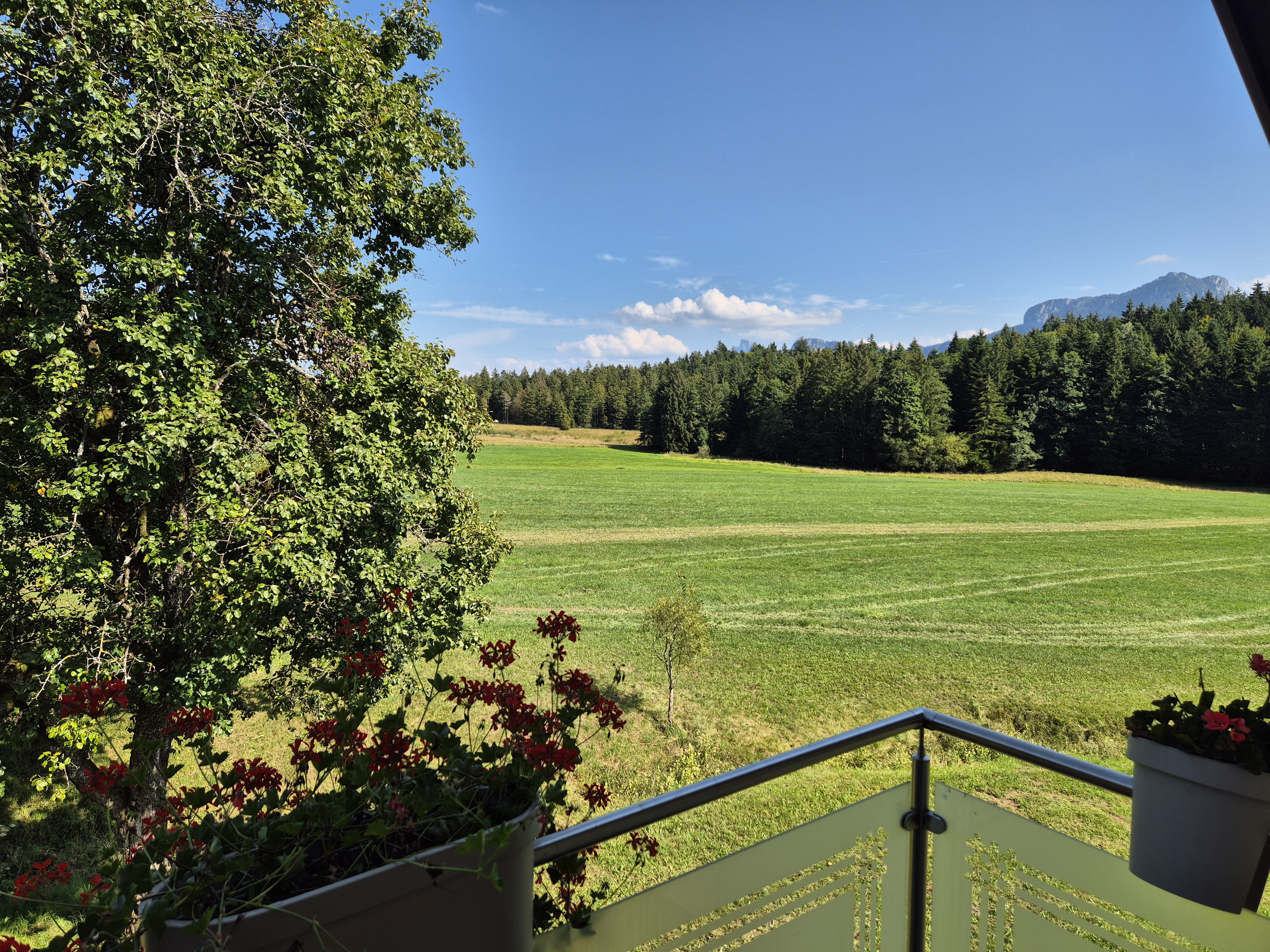 MonteurZimmer: Landzimmer1(20m²)---Balkon---1.Stock - Landhaus Dersch