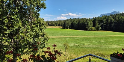 Monteur-Zimmer - Preis pro Nacht - Österreich - Landzimmer1(20m²)---Balkon---1.Stock - Landhaus Dersch