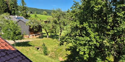 Monteur-Zimmer - Preis pro Nacht - Österreich - Landzimmer1(20m²)---Balkon---1.Stock - Landhaus Dersch