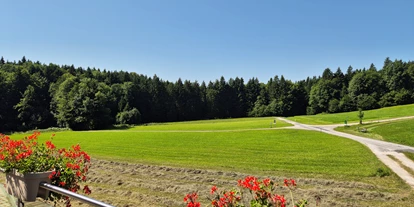 Monteur-Zimmer - Preis pro Nacht - Österreich - Landzimmer2(30m²)---Terrasse---1.Stock - Landhaus Dersch