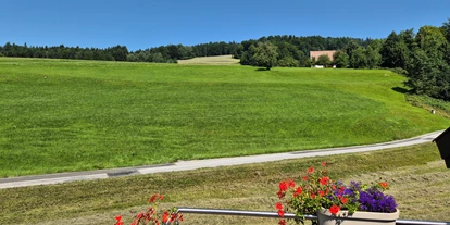 Monteur-Zimmer - Preis pro Nacht - Österreich - Landzimmer2(30m²)---Terrasse---1.Stock - Landhaus Dersch