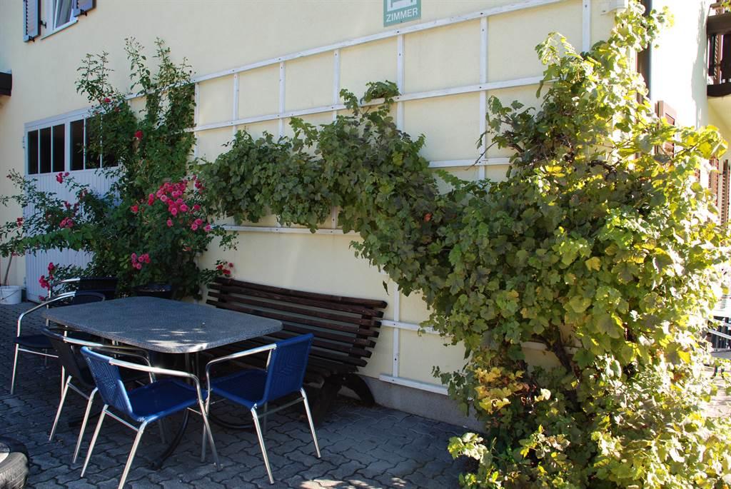 Monteur-Zimmer - Kirchdorf am Inn (Kirchdorf am Inn) - Haus Haidinger