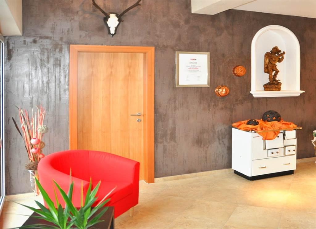 Monteur-Zimmer - Unterkunftsart: Gästehaus - Abtenau - Eingangsbereich - Gästehaus Abtenau