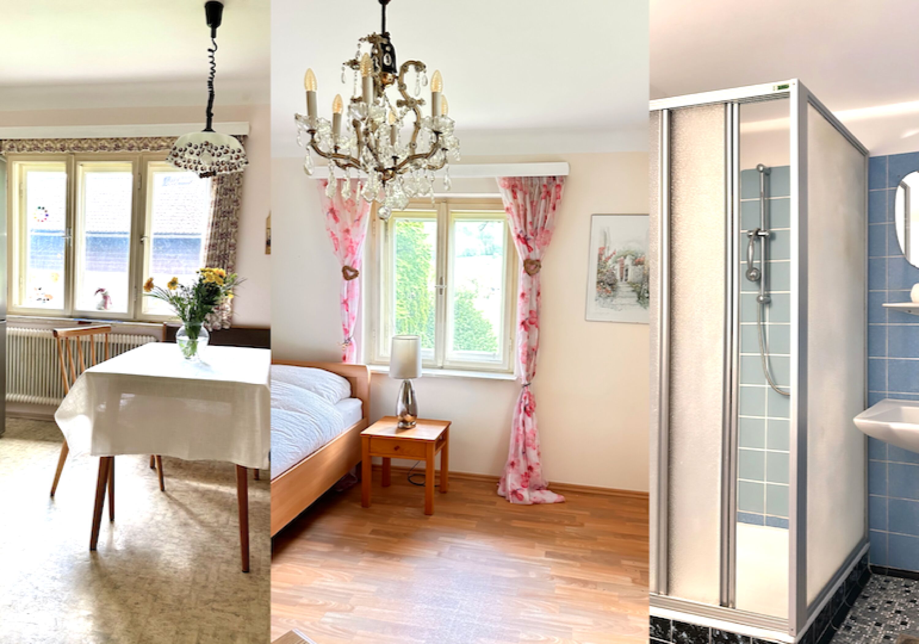 Monteur-Zimmer - Fernseher - Thalgau - norGünstiges Zimmer in Salzburg