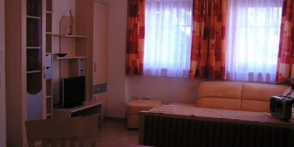 Monteur-Zimmer - Werfen - Viehhauser