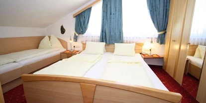 Monteur-Zimmer - Werfen - Appartementhaus Toferer