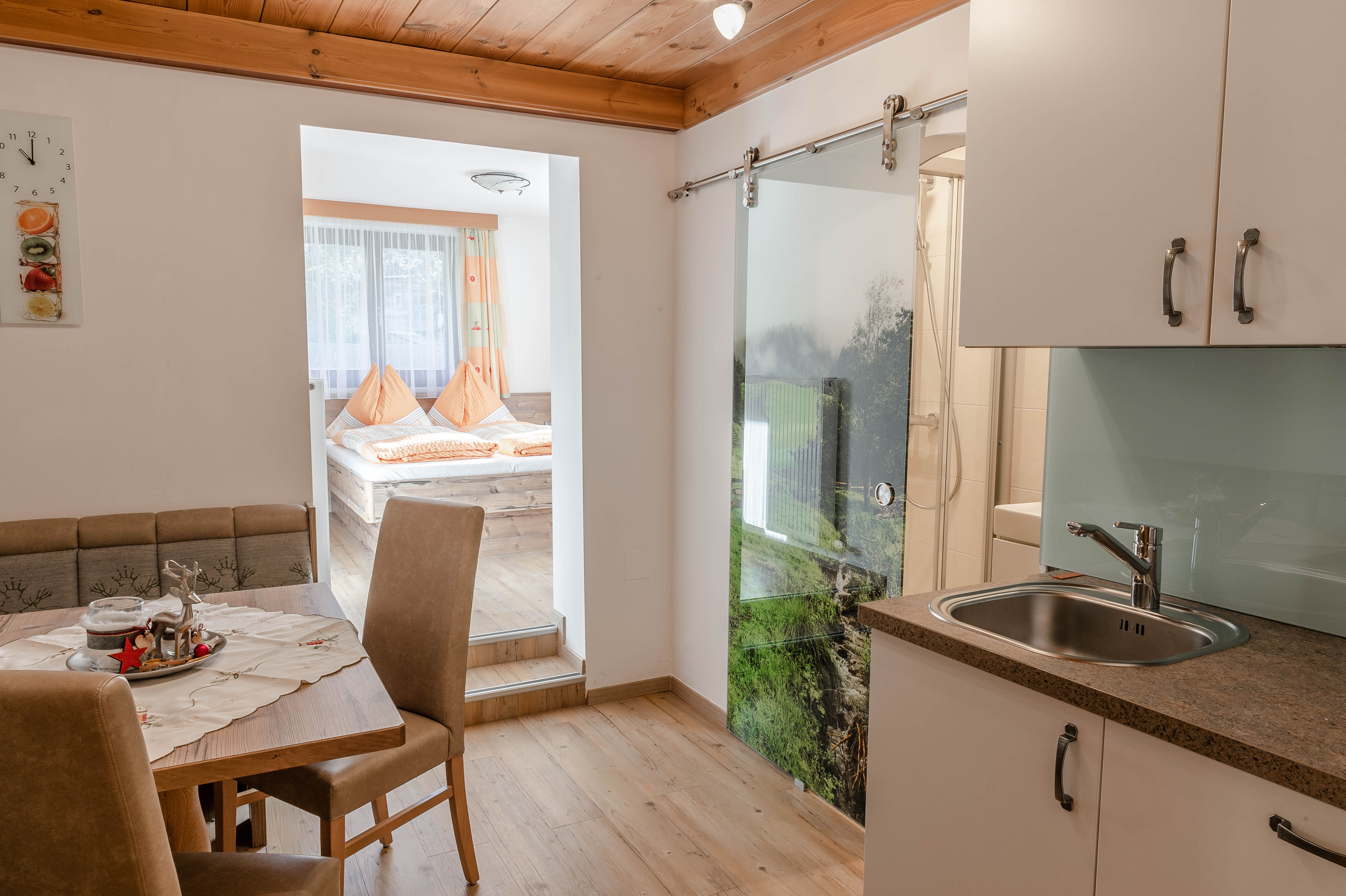 MonteurZimmer: Sonnentau Appartement 
kein Balkon im Erdegschoß - Ferienhaus Höllwart