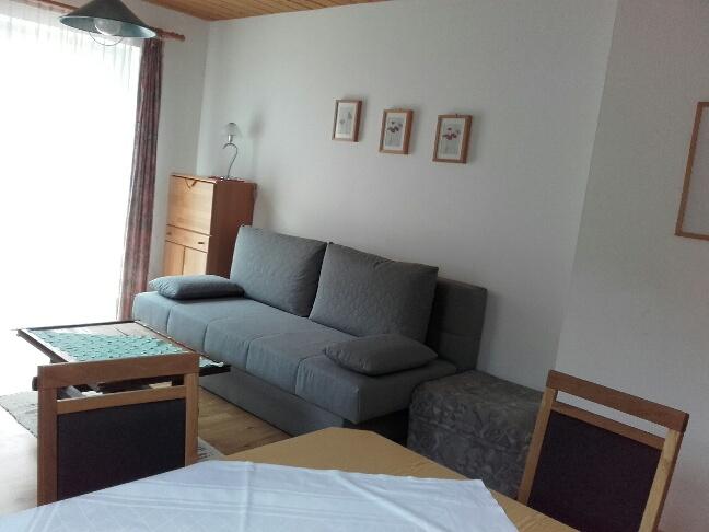 Monteur-Zimmer - Winklern (Winklern) - Apartment Marianne