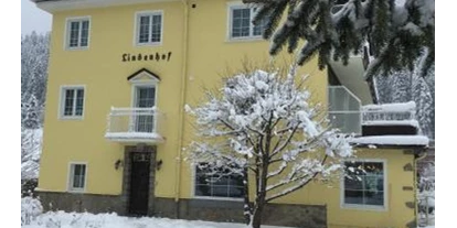 Monteur-Zimmer - Sankt Johann im Pongau - Lindenhof