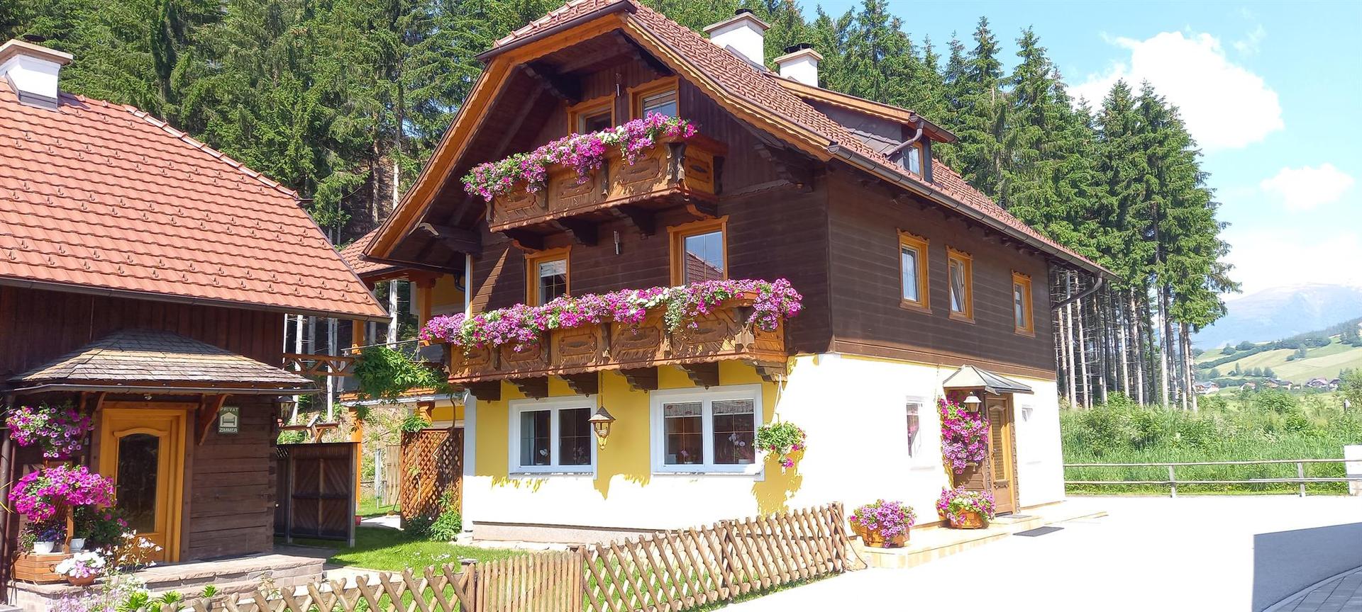 Monteur-Zimmer - Schönberg-Lachtal - Appartement Taurachblick