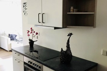 Monteur-Zimmer - Strobl - Appartement Leitner