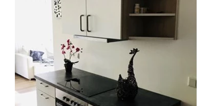 Monteur-Zimmer - Preis pro Nacht - Österreich - Appartement Leitner