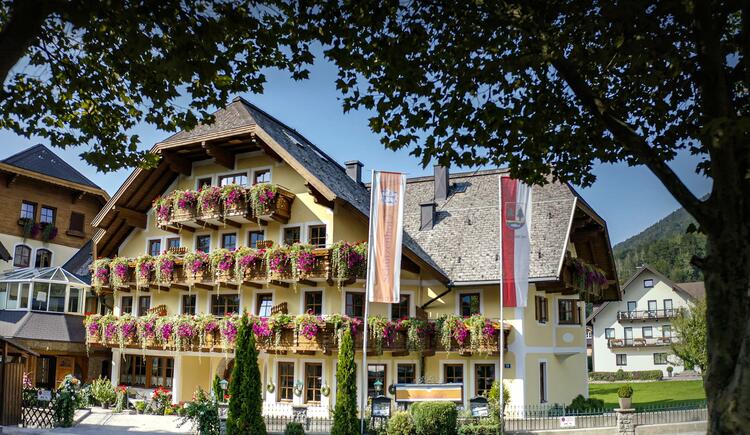 Monteur-Zimmer - Preis pro Nacht - Golling an der Salzach - Schützenhof