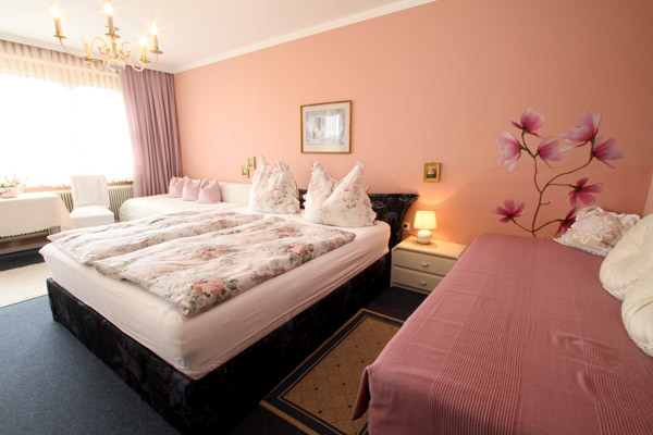 Monteur-Zimmer - Preis pro Nacht - Elsbethen - Lindner