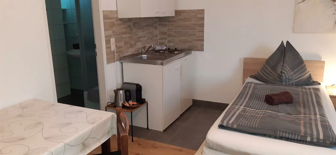 Monteur-Zimmer - Taxach - Studio Apartments Haus Schneider