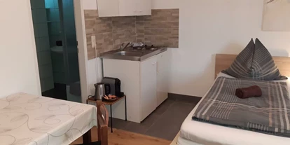 Monteur-Zimmer - Thalgau - Studio Apartments Haus Schneider