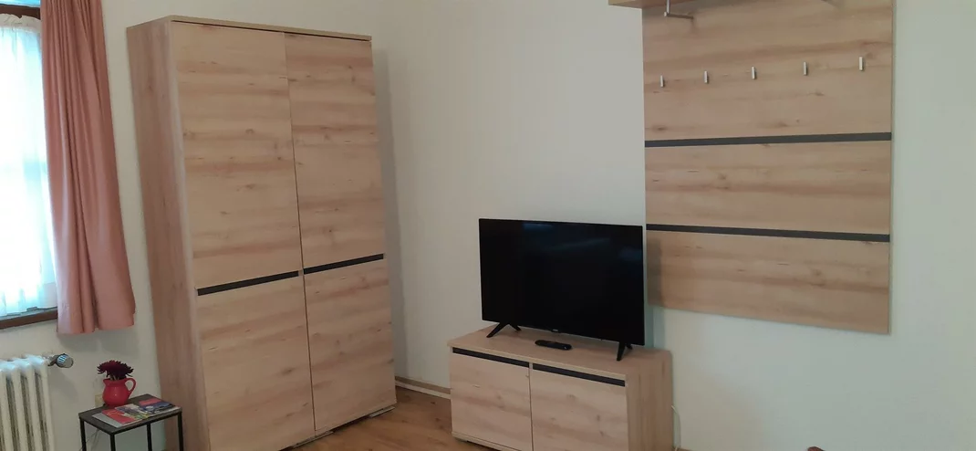 Monteur-Zimmer - Taxach - Studio Apartments Haus Schneider