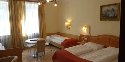 Monteur-Zimmer - Werfen - Pension Adlerhof