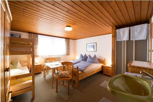 Monteur-Zimmer - Bischofshofen - Krallinger Sommerau