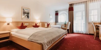Monteur-Zimmer - Werfen - Schattauer
