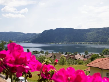 MonteurZimmer: Monteurwohnung Wonta