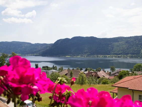 MonteurZimmer: Monteurwohnung Wonta