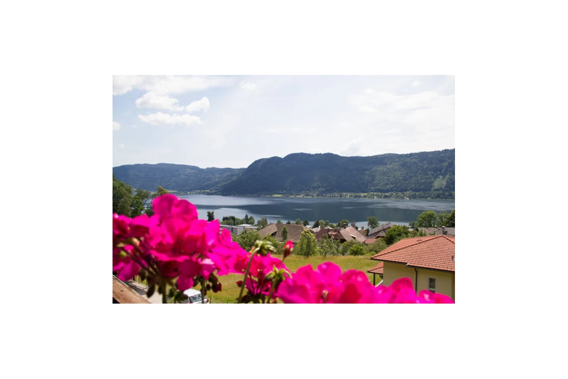 MonteurZimmer: Monteurwohnung Wonta