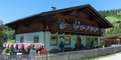 Monteur-Zimmer - Sankt Johann im Pongau - Kleinwidmoos-Apartment