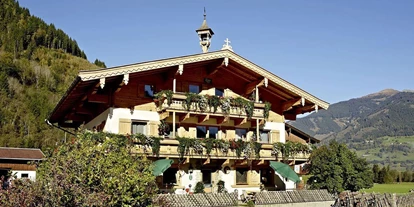 Monteur-Zimmer - Bruck an der Großglocknerstraße - Enzinghof