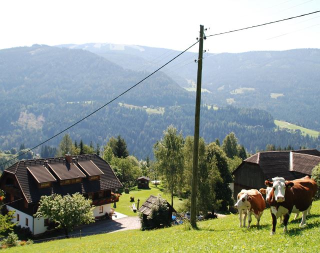 Monteur-Zimmer - Preis pro Nacht - Gurk (Gurk) - Lahnerhof