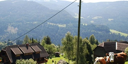 Monteur-Zimmer - Stockenboi - Lahnerhof