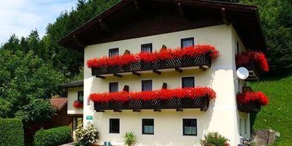 Monteur-Zimmer - Sattendorf - Haus Peter