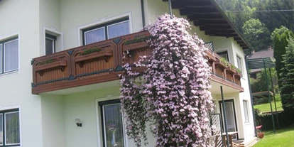 Monteur-Zimmer - Sattendorf - Appartements Caroline