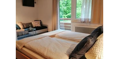 Monteur-Zimmer - Sattendorf - Grüner Heinrich - Bett & Frühstück