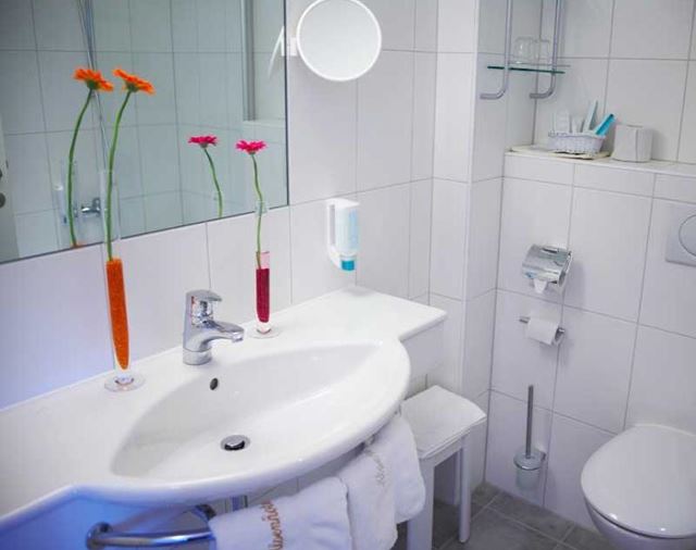 Monteur-Zimmer - Gödersdorf - Baumgartnerhof