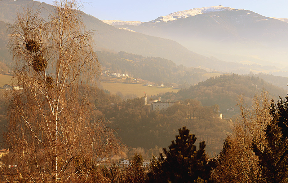 Monteur-Zimmer - Preis pro Nacht - Friesach (Friesach) - Wolfsberg: Villa 'Schloss'