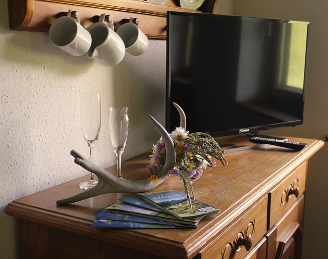 Monteur-Zimmer - Lieserbrücke - Grundnerhof