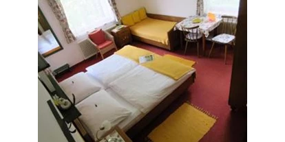 Monteur-Zimmer - Sattendorf - Haus am See - Pension Stissen
