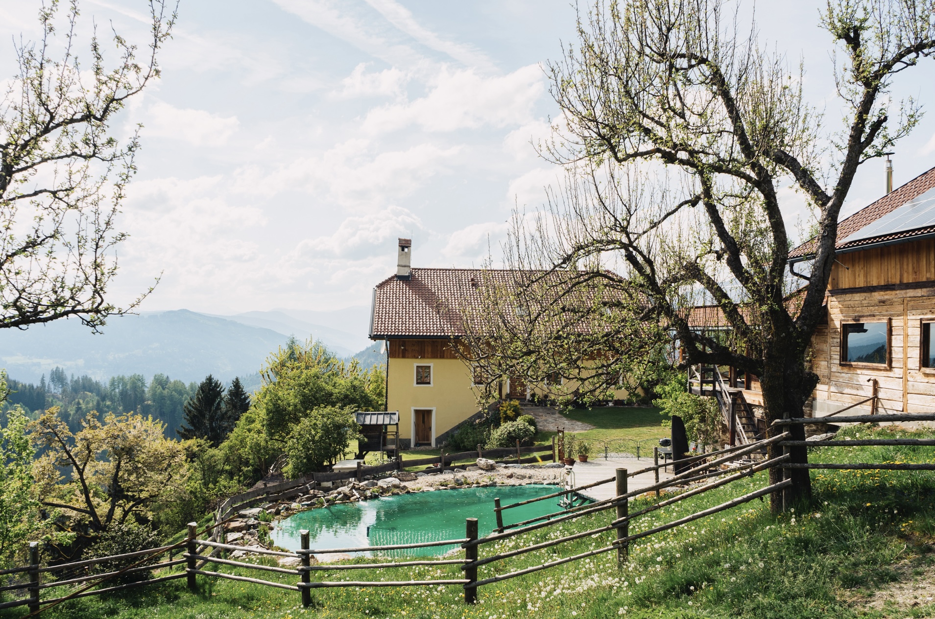 Monteur-Zimmer - Zwischenreinigung - Kärnten - Der Schwimmteich  - Ferienwohnung Wohlfühloase Koglerhof