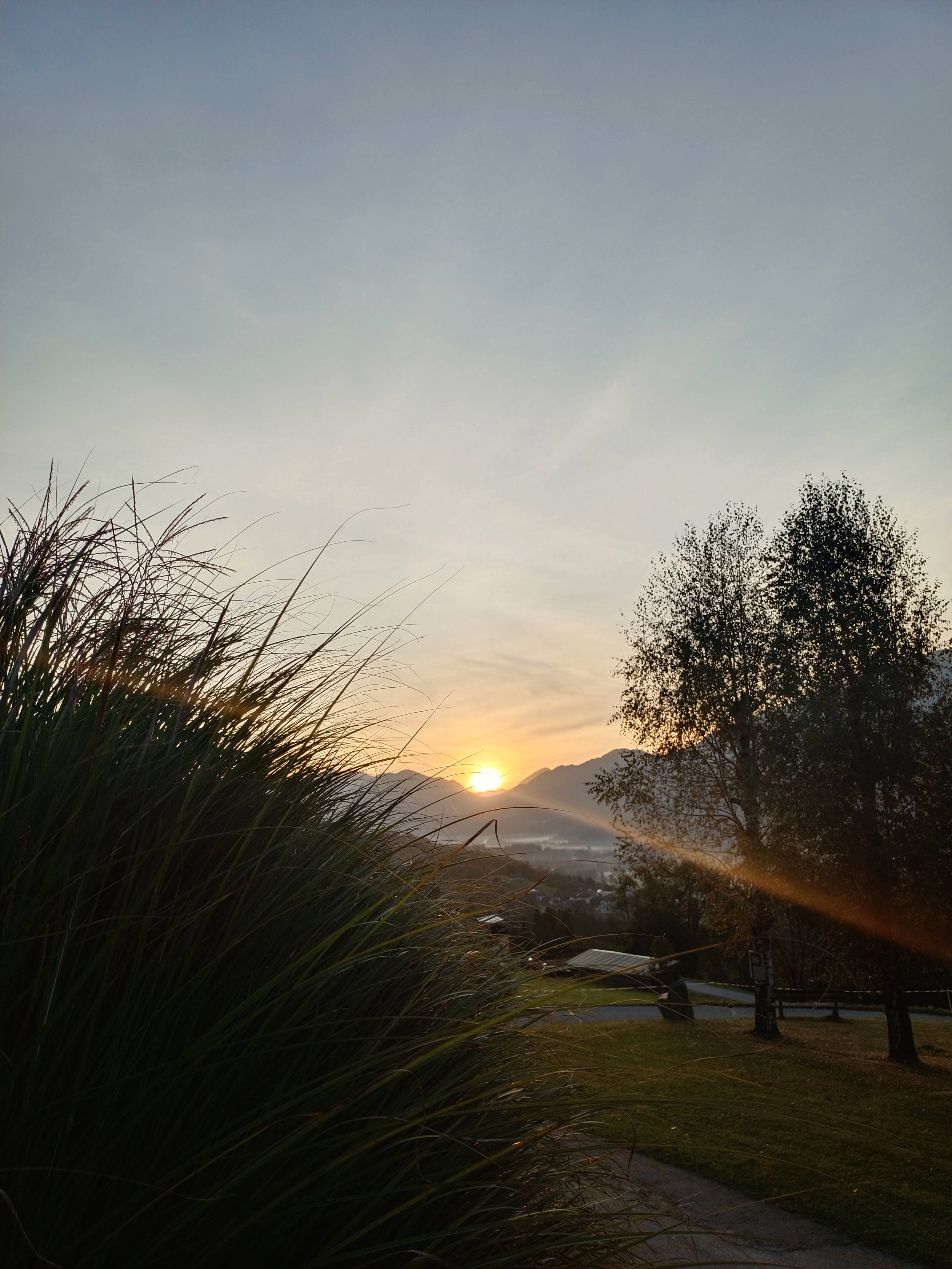 Monteur-Zimmer - Parkplatz: eigener Parkplatz für PKW vorhanden - Techendorf - Sonnenaufgang im Herbst  - Ferienwohnung Lemberger 